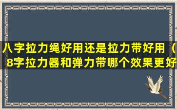 八字拉力绳好用还是拉力带好用（8字拉力器和弹力带哪个效果更好 🌼 用）